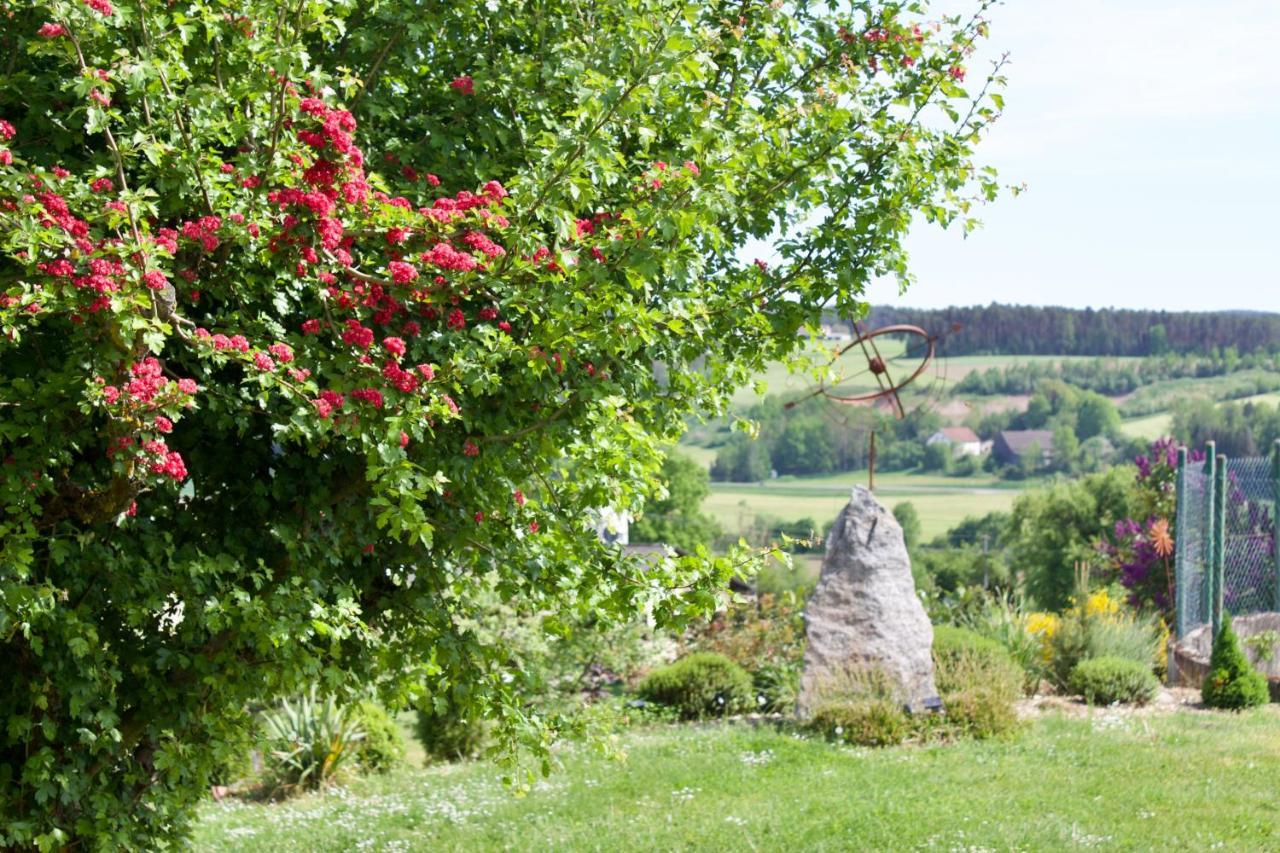 Ferienwohnungen Seebauer Nittenau Buitenkant foto