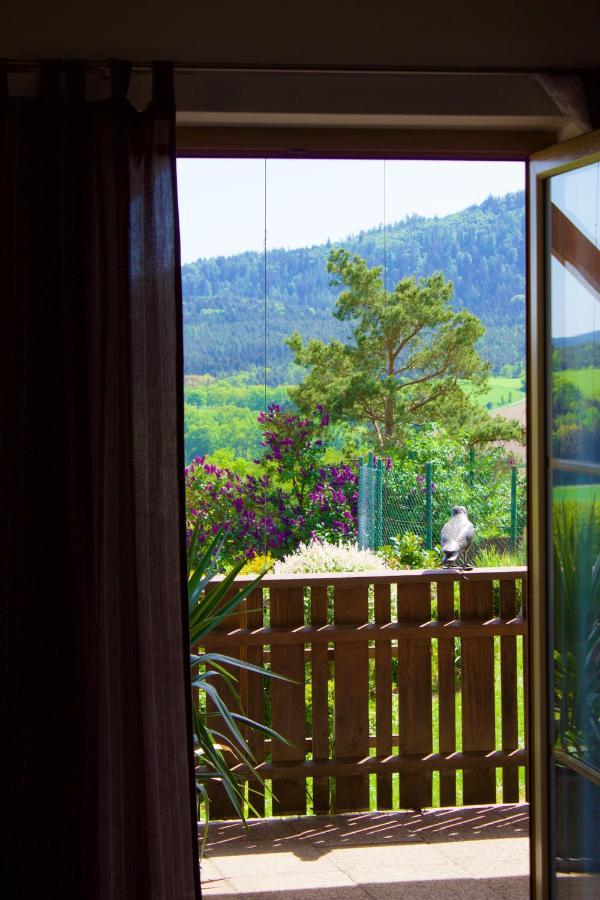 Ferienwohnungen Seebauer Nittenau Buitenkant foto